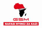 GSM Group Vacancies 2026