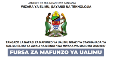 Teacher Diploma Training Opportunities 2026/2027