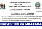 Tunduma City Council 100 Contract Revenue Collector Jobs