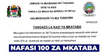 Tunduma City Council 100 Contract Revenue Collector Jobs