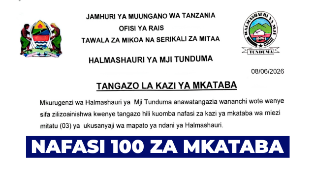 Tunduma City Council 100 Contract Revenue Collector Jobs