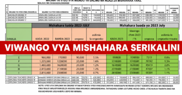 Tanzania Government Salary Scale
